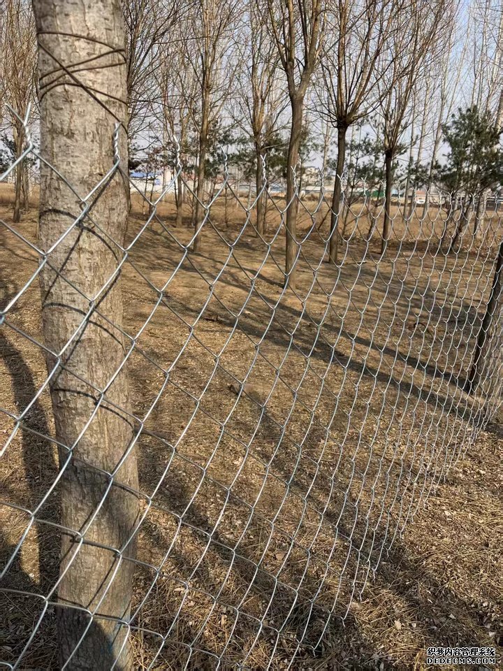 1786091362588690.jpg 圈山围地钢丝网.jpg